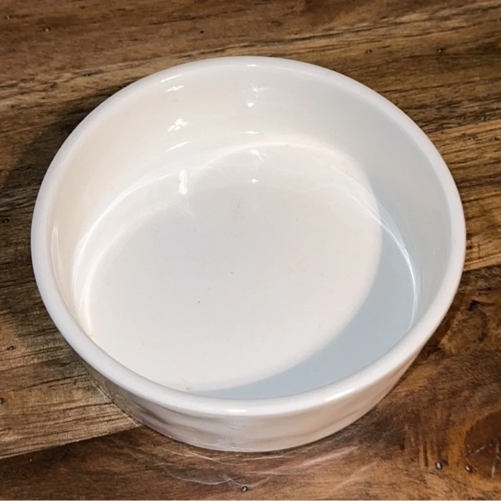 RAE DUNN Pet/Cat Ceramic White Bowl with Fish Image Fish Bowl